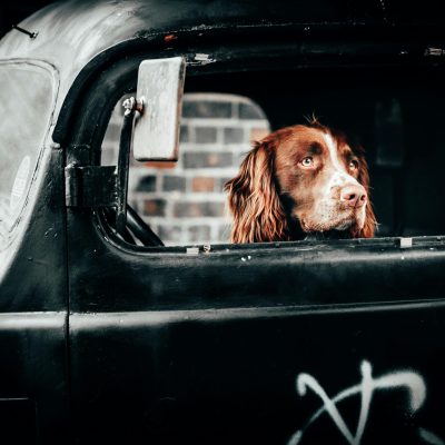 waiting for something